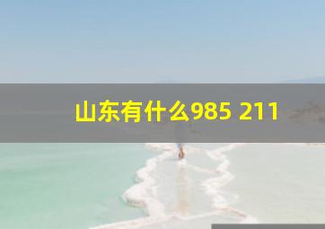 山东有什么985 211